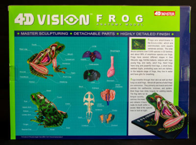 4D Vision Frog Anatomy Model (Back)