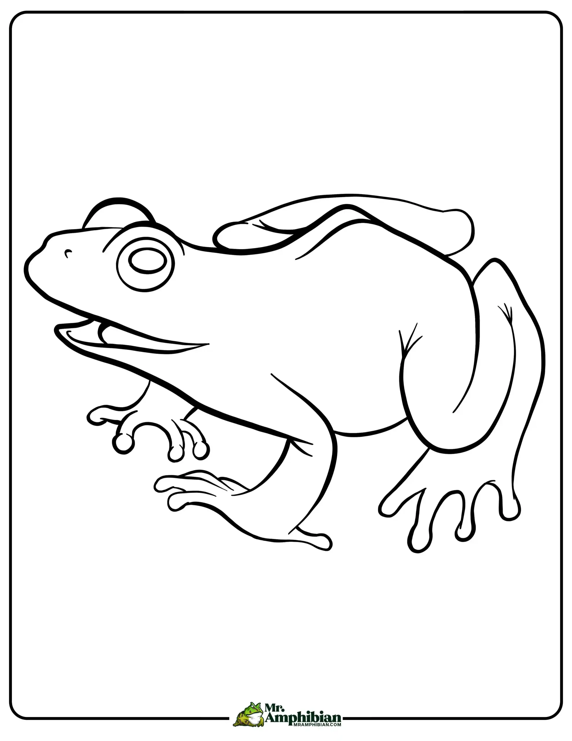 Frog Coloring Page 02