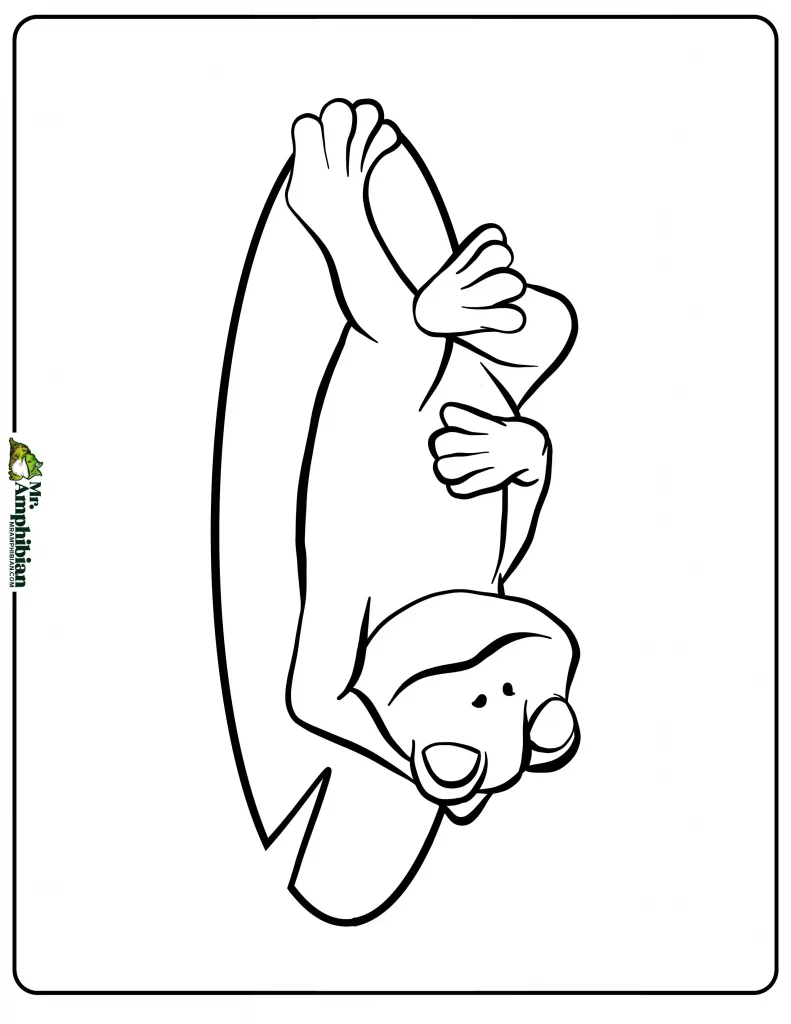 Frog Coloring Page 03