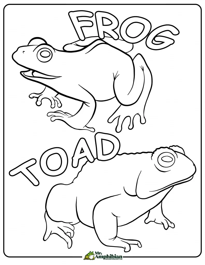 Frog & Toad Coloring Page 01