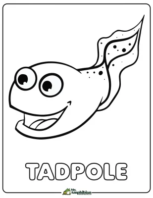 Tadpole Coloring Page 01