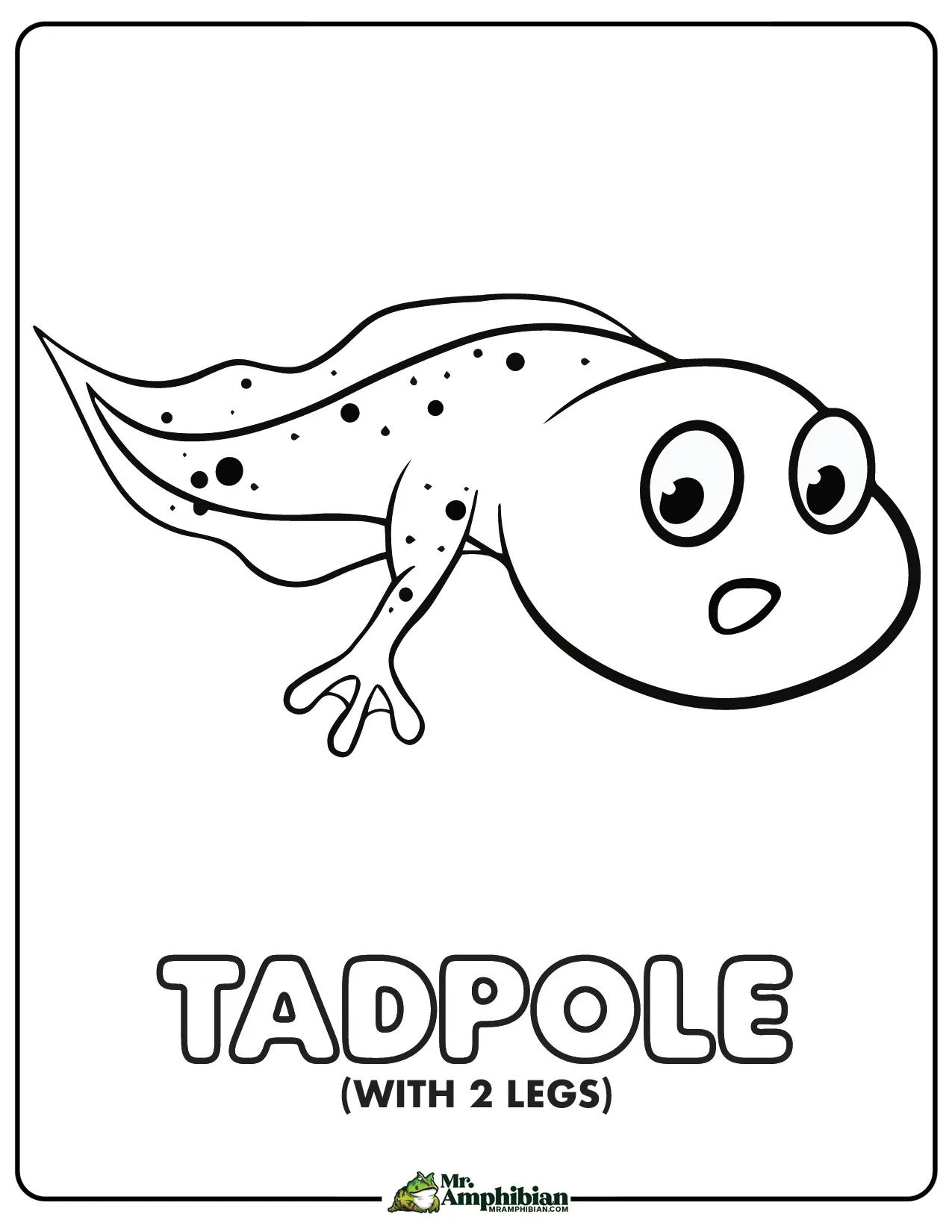 Tadpole Coloring Page 02