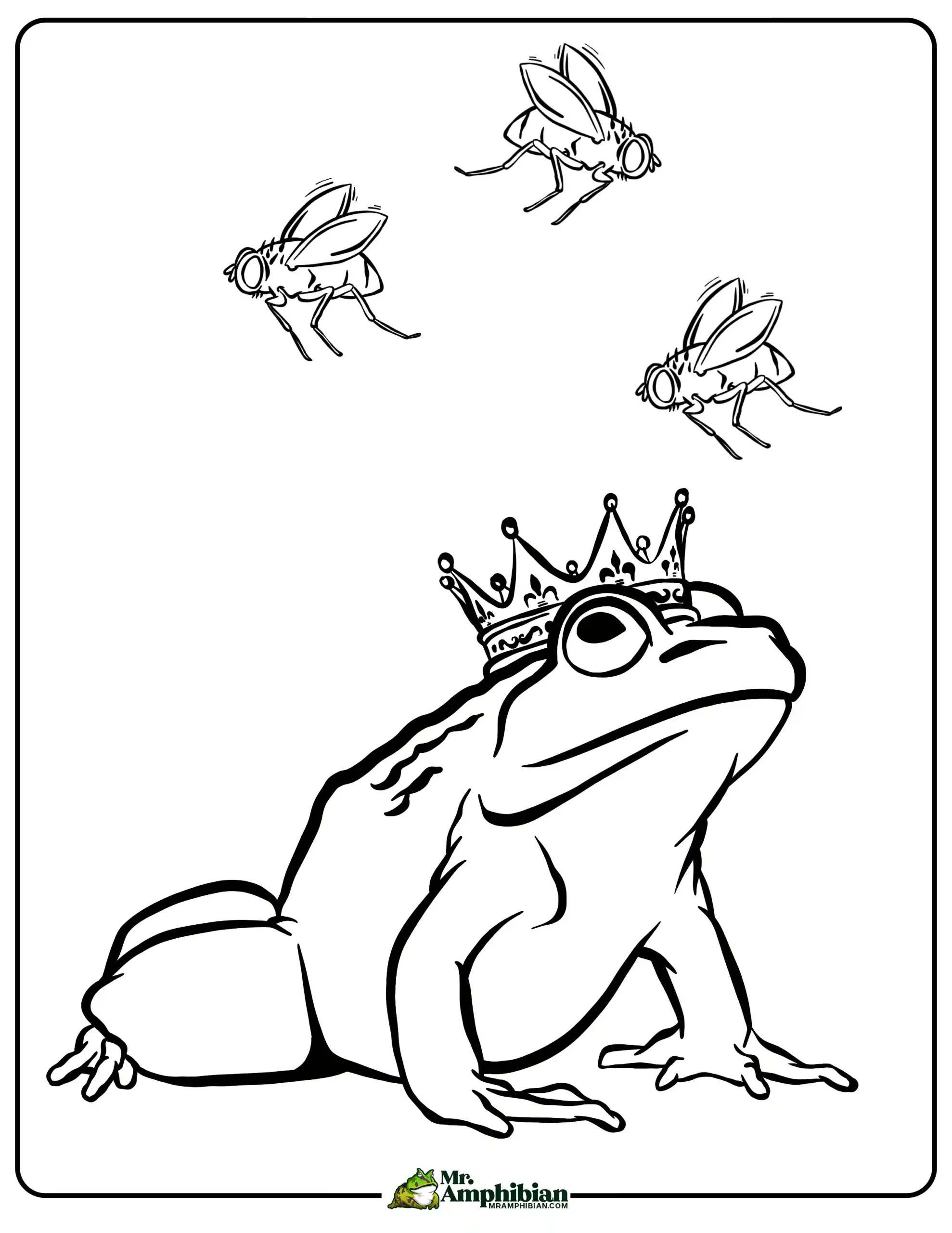 Toad Coloring Page 02