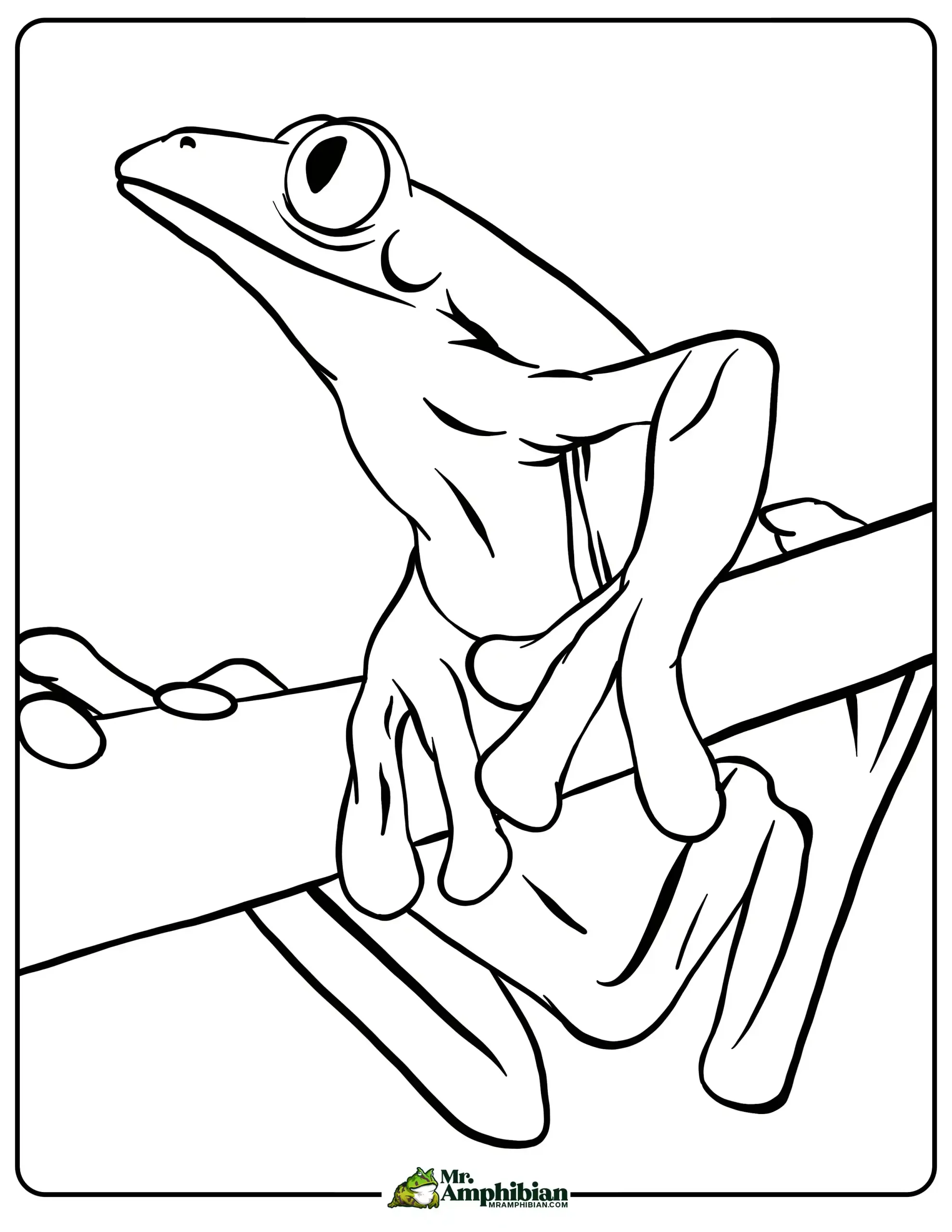 Tree Frog Coloring Page 01