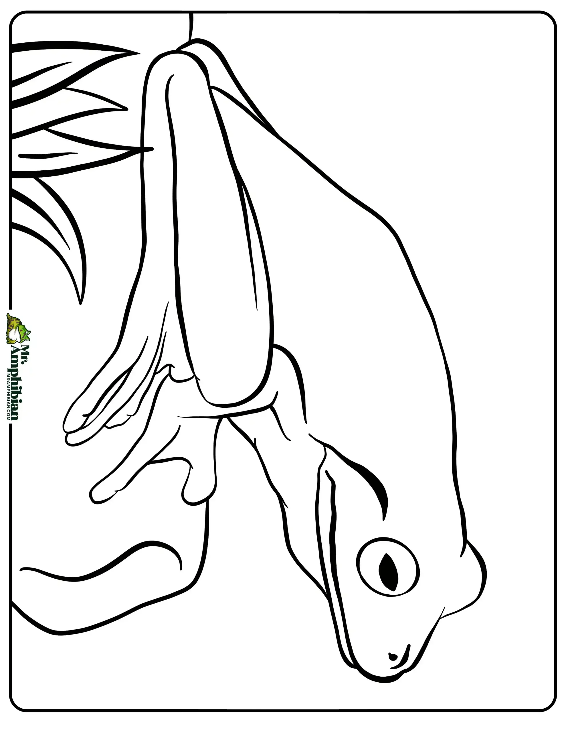 Tree Frog Coloring Page 02