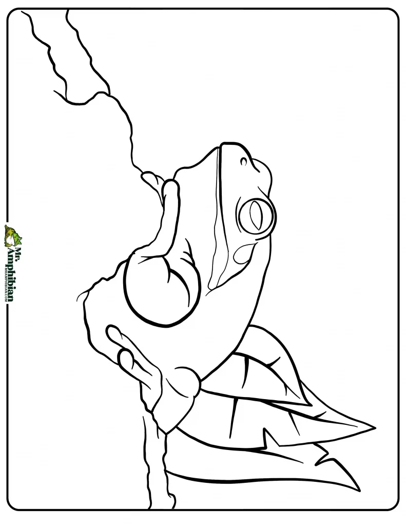 Tree Frog Coloring Page 03