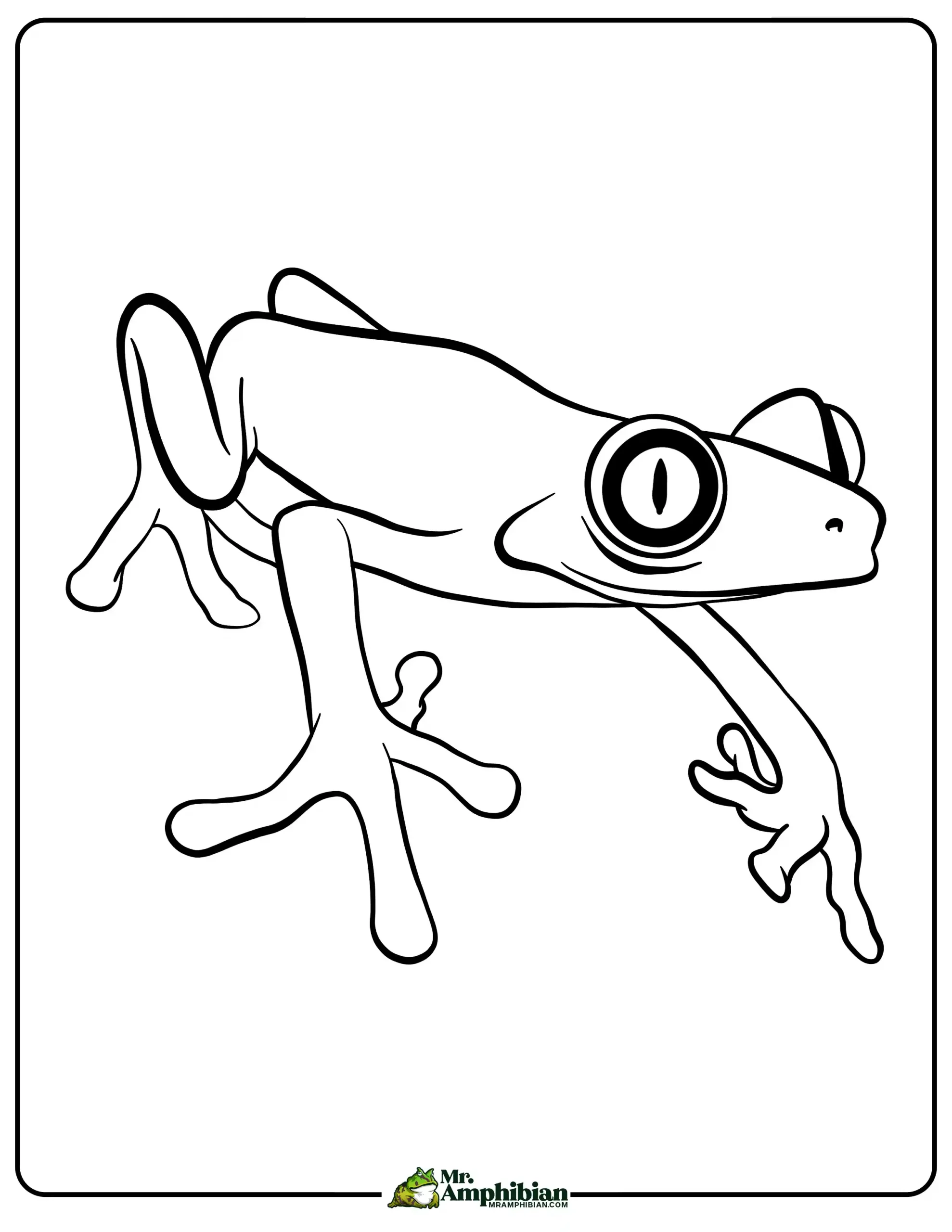 Red Eyed Tree Frog Coloring Page