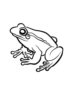 Frog Coloring Page 05