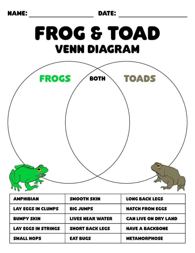 Frog & Toad Venn Diagram