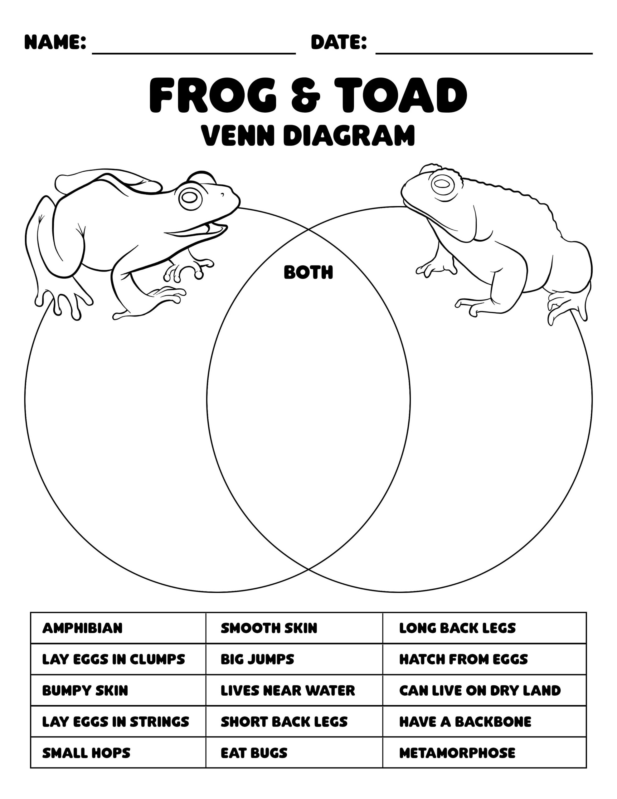 Frog vs Toad Venn Diagrams (For Kids & Teens) Mr. Amphibian