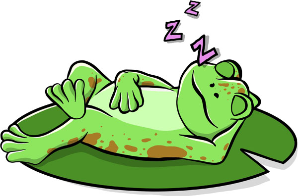 Cartoon Frog Sleeping on Lily Pad