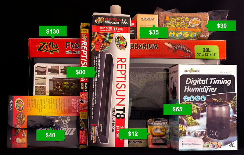 How Much Pet Frogs Really Cost Mr. Amphibian