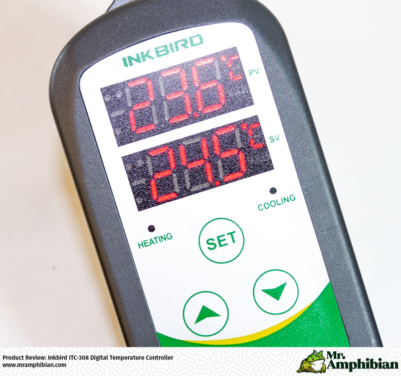 INKBIRD ITC 308 Review and Setup #reptiles #thermostat 