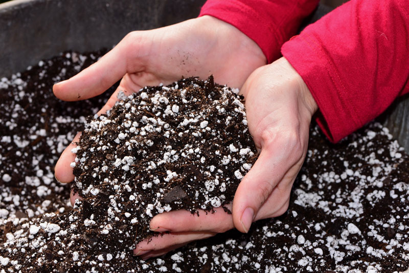 Soil with Perlite