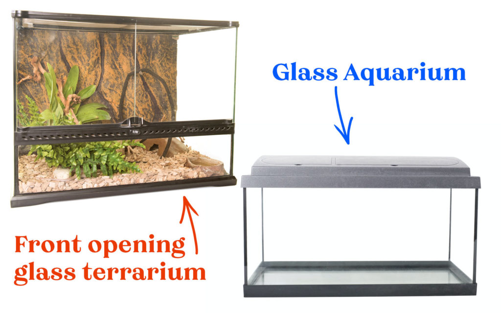 Terrarium and Aquarium