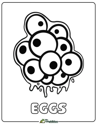 Frog Eggs Coloring Page 01