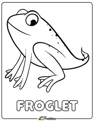 Froglet Coloring Page 01