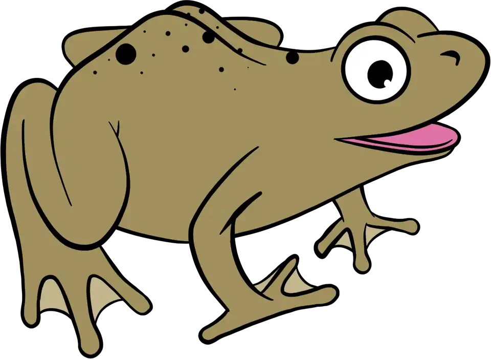 Adult Frog (Frog Life Cycle)