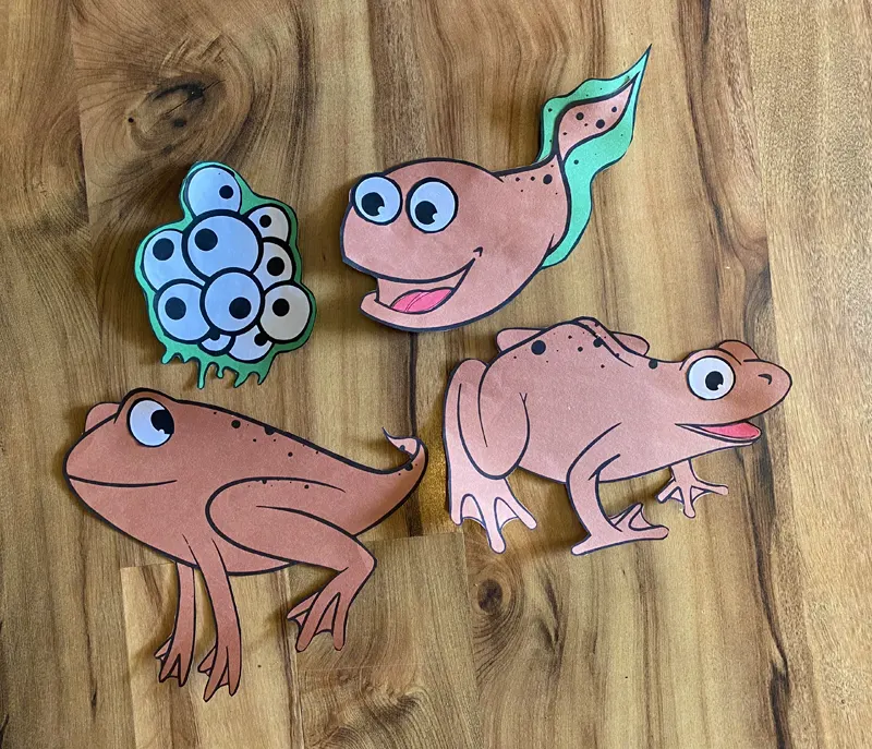 Frog Life Cycle Craft Activity