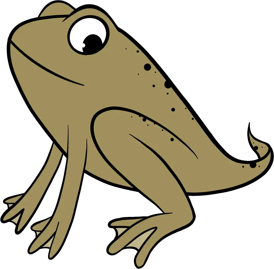 Froglet (Frog Life Cycle)