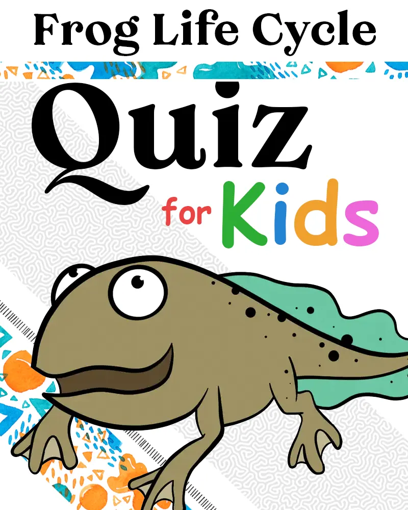 Frog Life Cycle Quiz (for Kids)